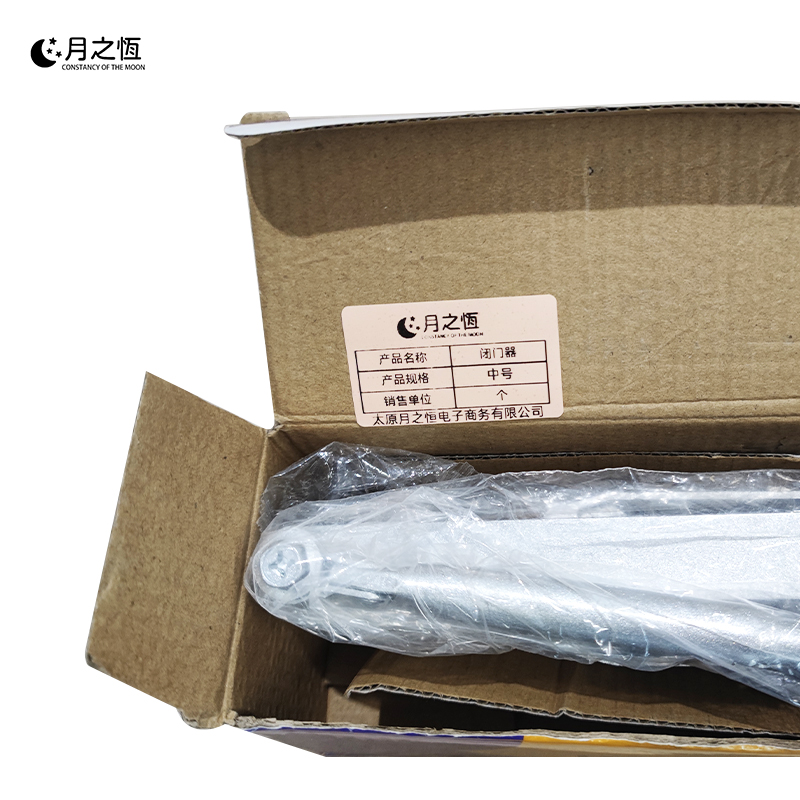 月之恒闭门器中号个高清大图