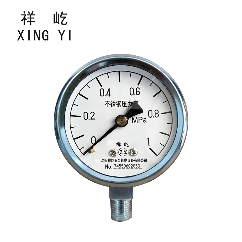 祥屹 不锈钢压力表 Y60BF 0-1Mpa 块高清大图