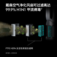 戴森(Dyson)空气净化风扇TP07黑镍色 高效分解甲醛 凉风、净化二合一
