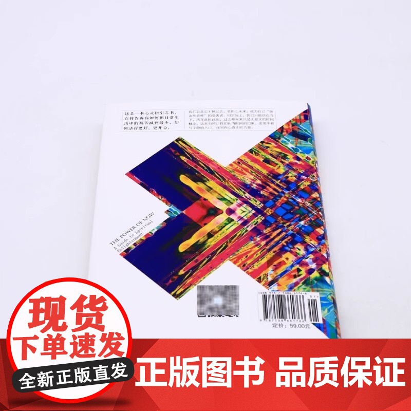 [央视网]当下的力量(白金版) 精装 埃克哈特·托利 著 身心灵 张德芬作序 中信出版社图书 自我励志经典之作SS高清大图