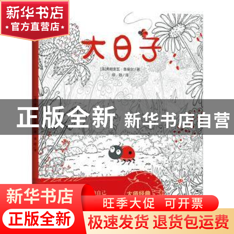 正版 大日子 【法】弗朗索瓦·鲁塞尔 天地出版社 9787545551068 书