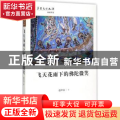 飞天花雨下的佛陀微笑
