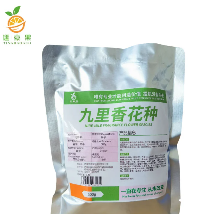 廷豪果 九里香花种 驱蚊香草种子 500g 袋高清大图