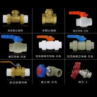 PPR双活接铜球阀热熔钢芯球阀自来水纯铜止回阀管件阀门水管开关,20(4分)双活接铜球阀,一个