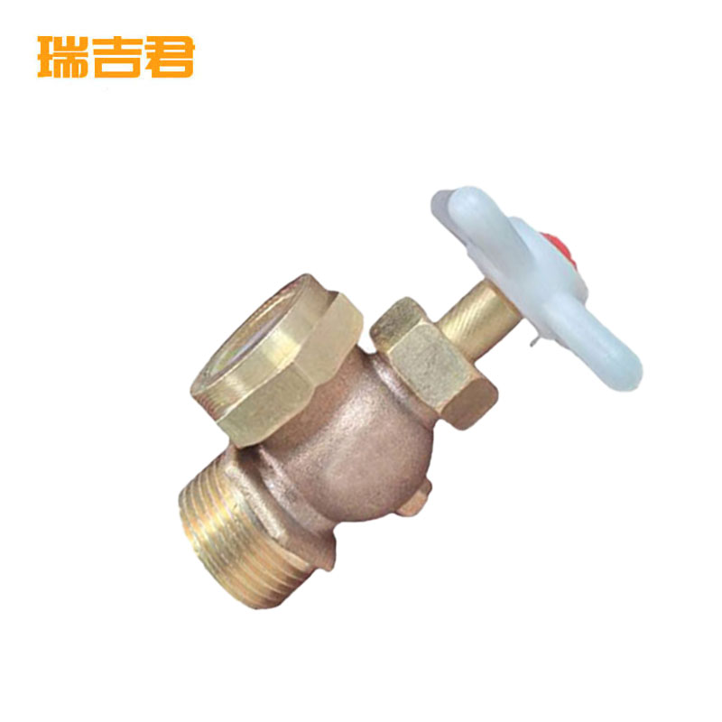 瑞吉君 考克 DN20 对高清大图