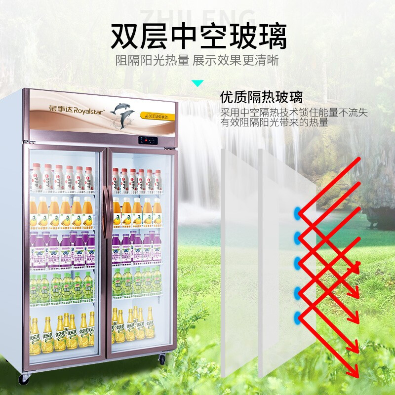 荣事达(Royalstar)商用展示柜 立式陈列柜 冰柜 冷藏保鲜柜 商用冷柜 啤酒柜 饮料柜LC-1000