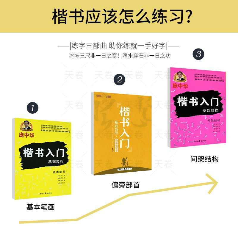 [正版]庞中华楷书入门基础训练硬笔书法字帖基本笔画初学者偏旁部首结构