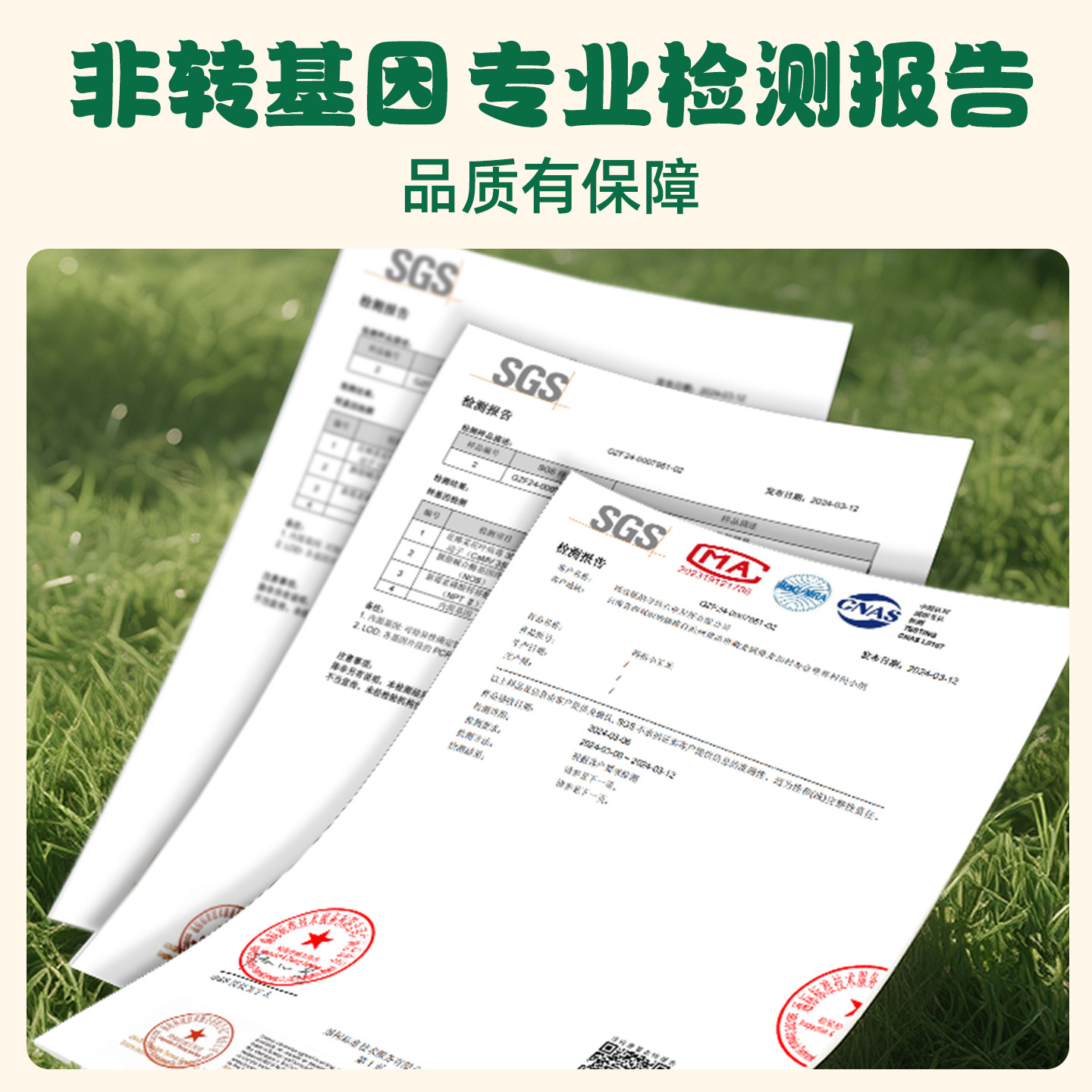 十月稻田云南拇指玉米500g(8‑12根)西双版纳迷你小糯玉米真空软糯儿童早餐粗粮高清大图