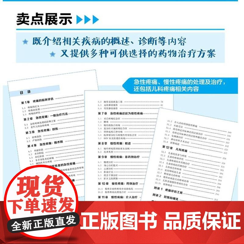 治疗指南疼痛分册 原著第6版 疼痛临床诊断治疗 疼痛评估急性慢性疼痛原因 药物治疗介入治疗医学书籍 疼痛科医生工作指导书