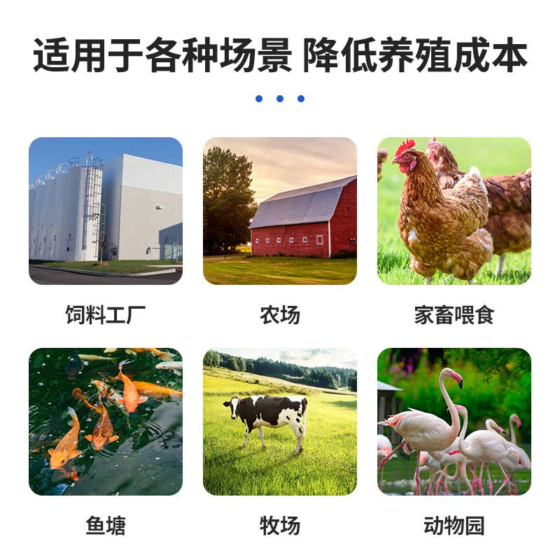 饲料颗粒机小型家用220v鸡鸭鱼鹅龙虾兔牛羊猪养殖设备造粒制粒机图片