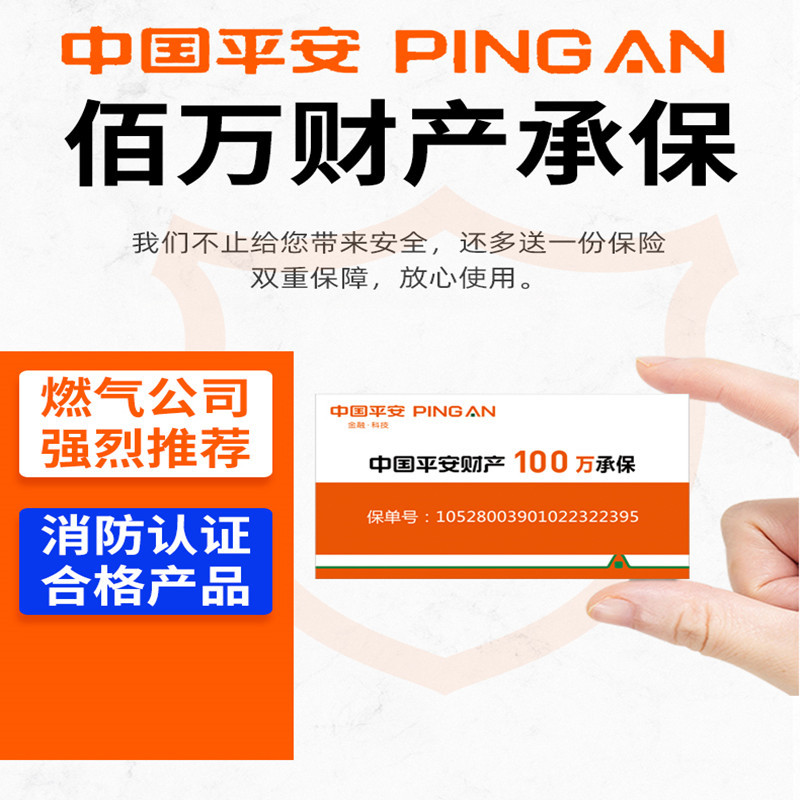 燃气报警器 可燃气体报警器 配单尖电磁阀 PA-219高清大图