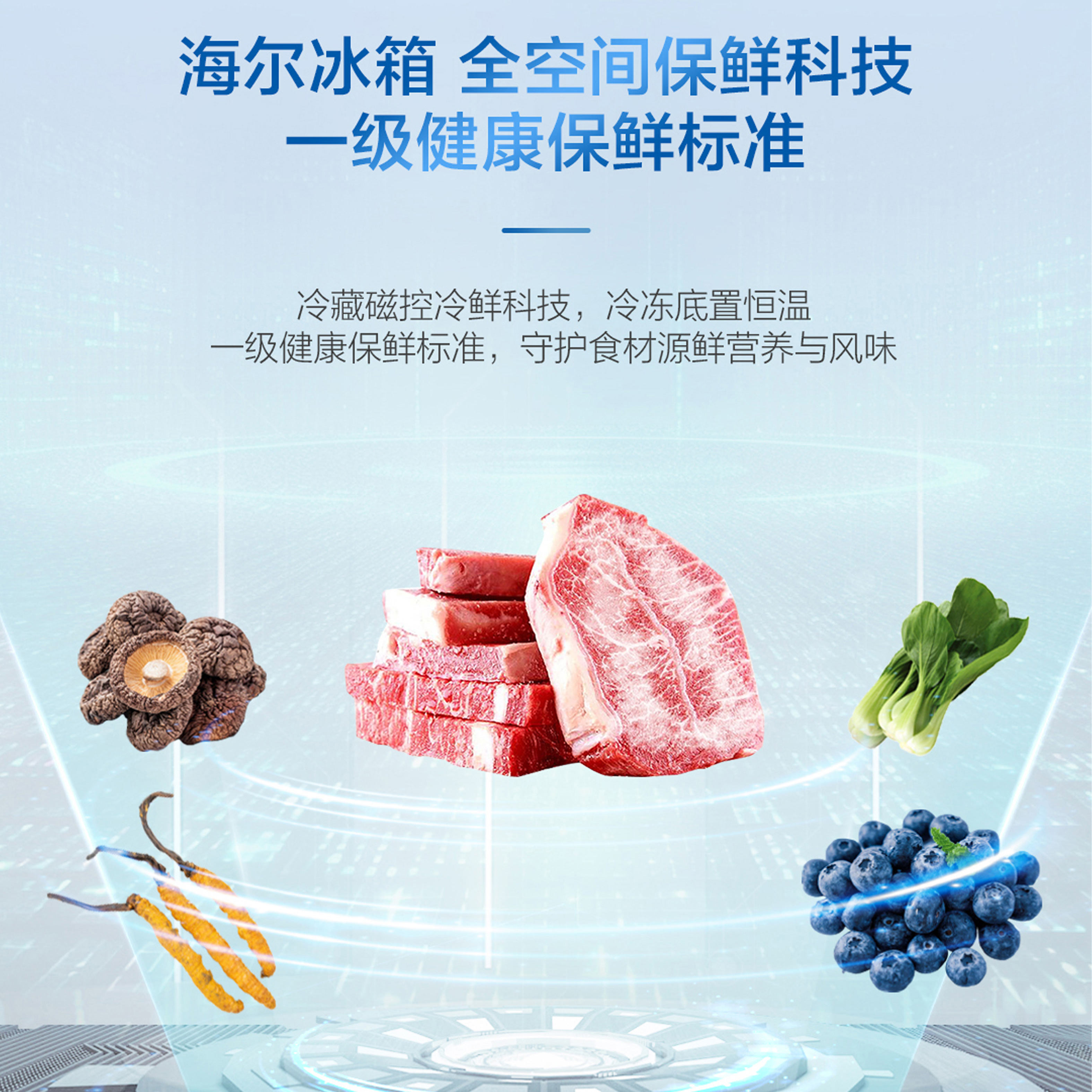 海尔(Haier)603升多门超薄冰箱 底置恒温保鲜 磁控冷鲜 双系统双重杀菌 BCD-603WGHFD2BW5U1高清大图
