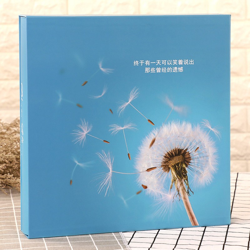 相册影集相册本插页式家庭5678寸过塑通用装相册本
