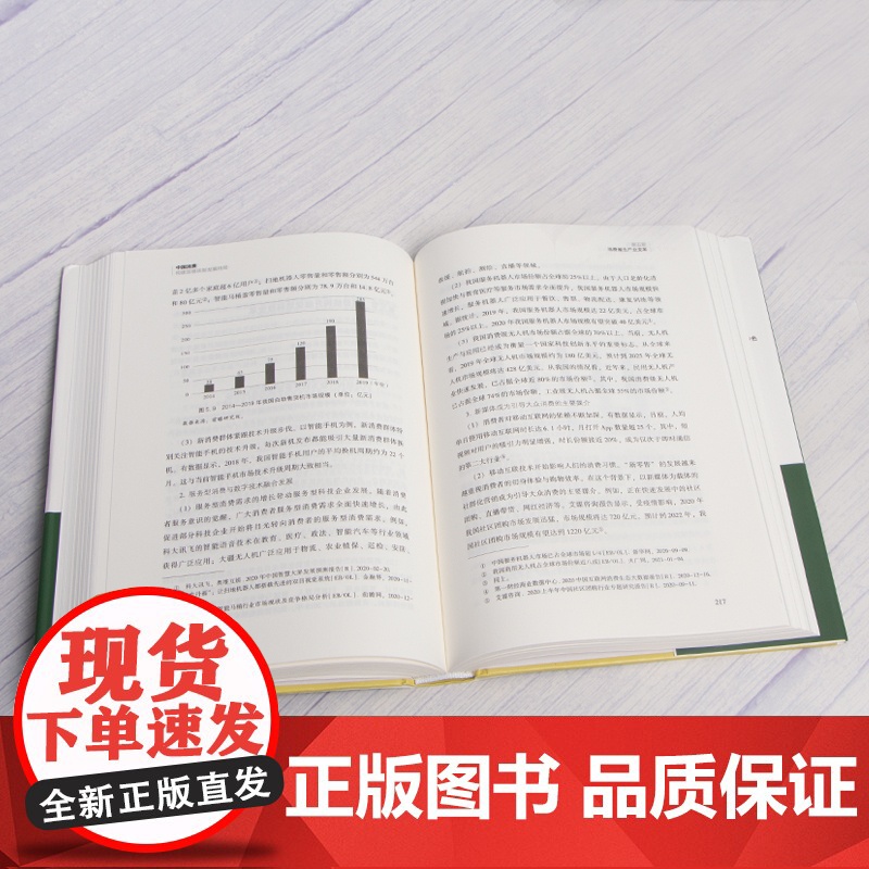 中国消费:构建双循环新发展格局 迟福林主编 构建国内国际双循环新发展格局 消费主导的中国经济转型大战略 中国工人出版社店高清大图