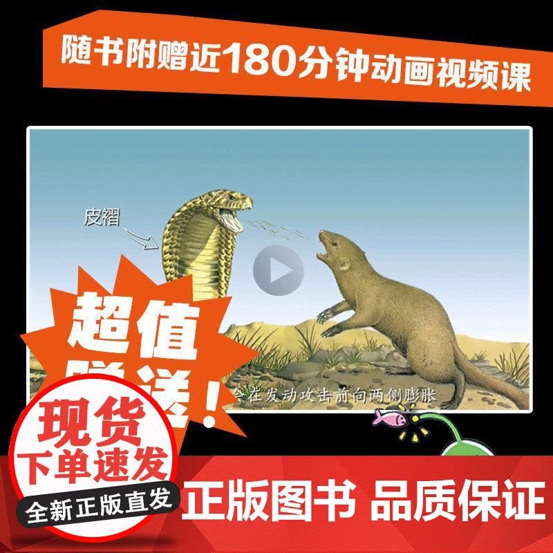 太酷啦!动物的秘密如此多全12册 凯特·贝蒂著12大动物主题800个动物惊人秘密动物自然科学生物学科普绘本中小学生课外阅图片