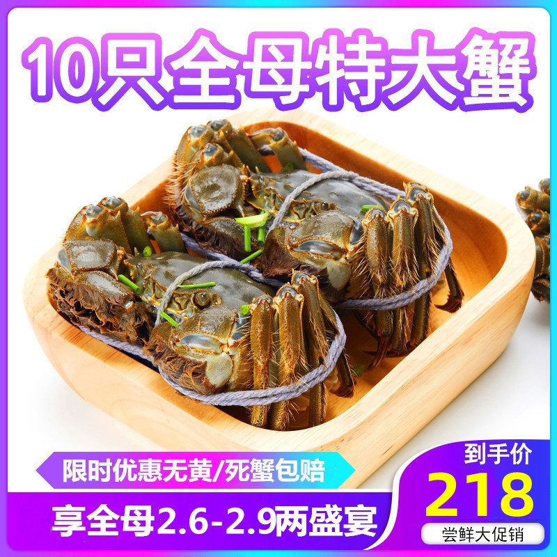 餐中王清水大闸蟹鲜活螃蟹全母蟹10只装2.9-2.6两大闸蟹礼盒苏州阳澄湖镇发货