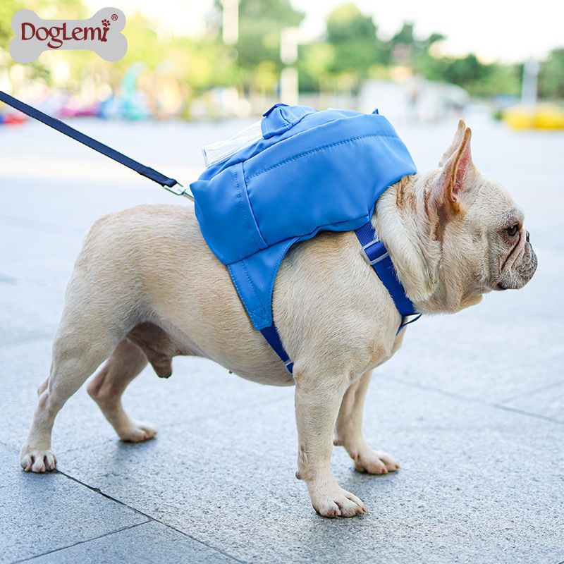 黄色s韩系ins风宠物双肩背包狗狗自背包时尚猫咪小狗胸背带旅行书包