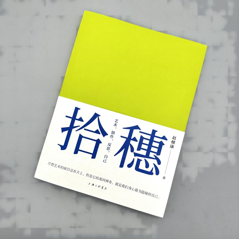 音像拾穗:艺术,创作,反思,自己赵穗康