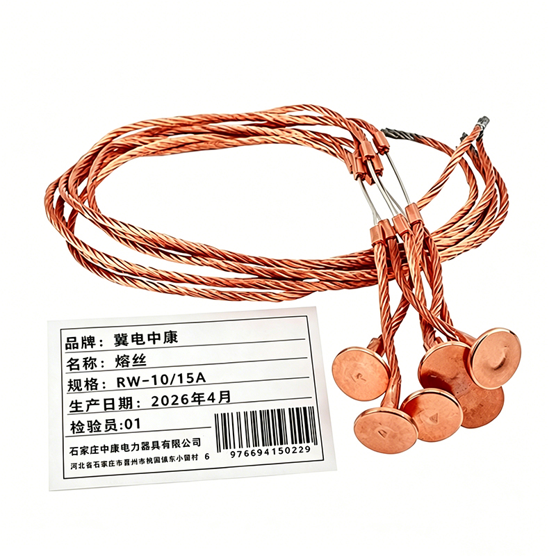 冀电中康 熔丝 RW-10/15A 根高清大图