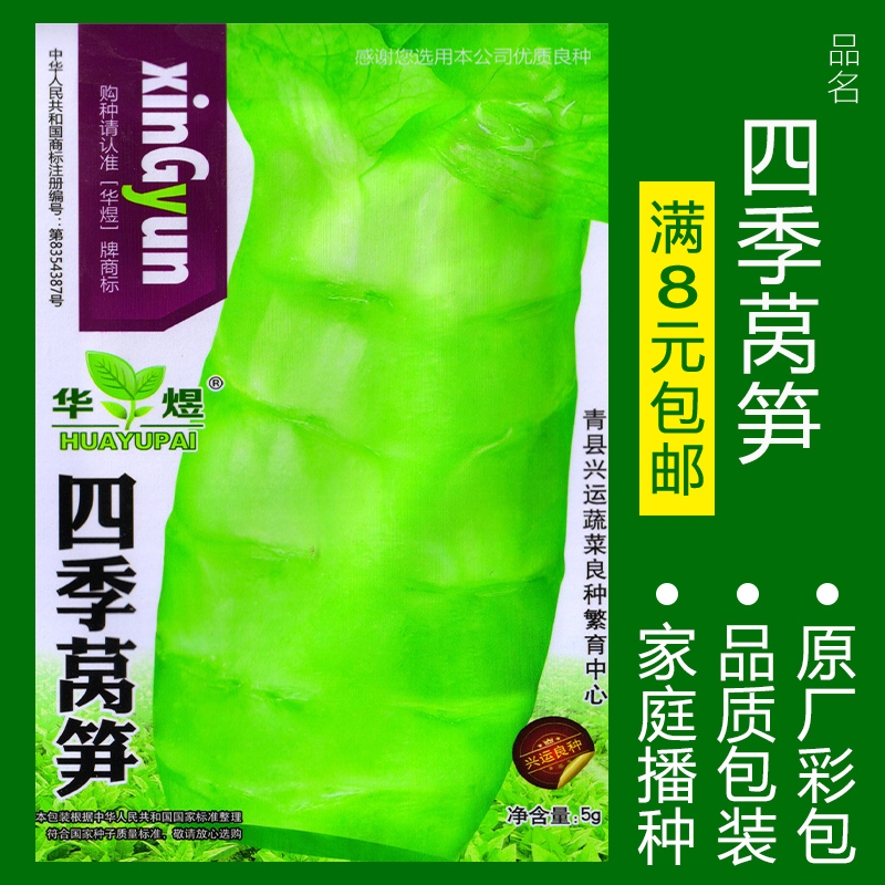 蔬菜种子四季播盆栽番茄黄瓜辣椒西瓜籽孑大全罗卜蕃茄苏州青黄心 四季莴笋约300粒 均码
