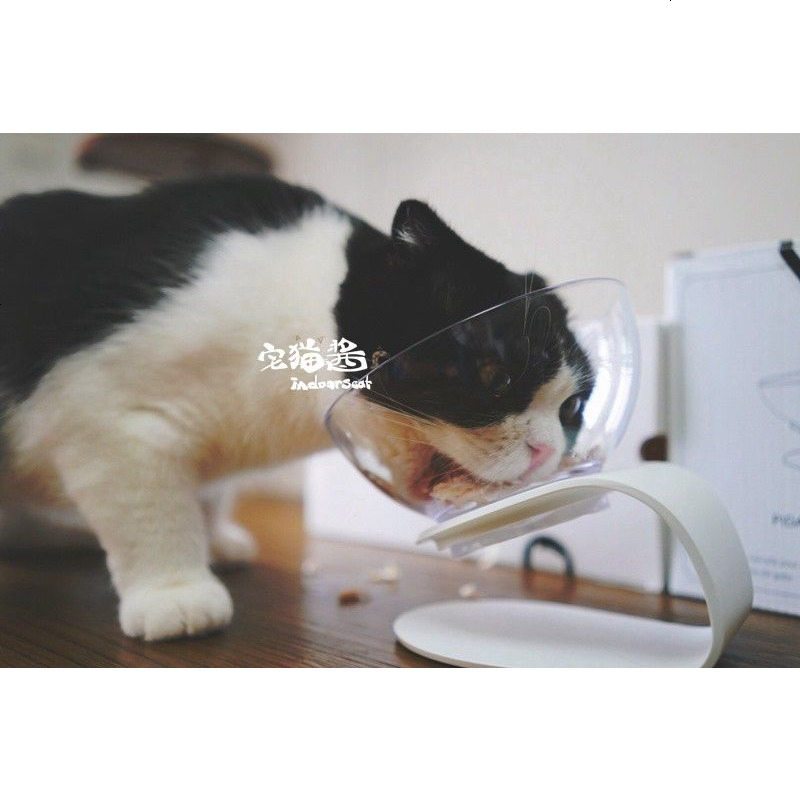 宅猫酱pidan 现代气息的猫食盆猫碗 优质材料 猫体工程学