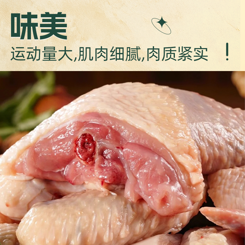 [苏鲜生推荐]三物纪 皖南金凤黄油老母鸡2.3-2.6斤/只 1只装 新鲜现杀冷冻农家慢养走地鸡高清大图