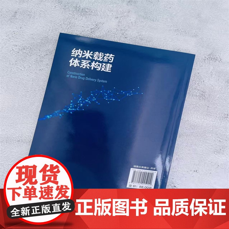 纳米载药体系构建高清大图