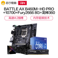 七彩虹BATTLE AX B460M-HD PRO V20主板 搭10700CPU+内存+华硕龙神360散热器套装