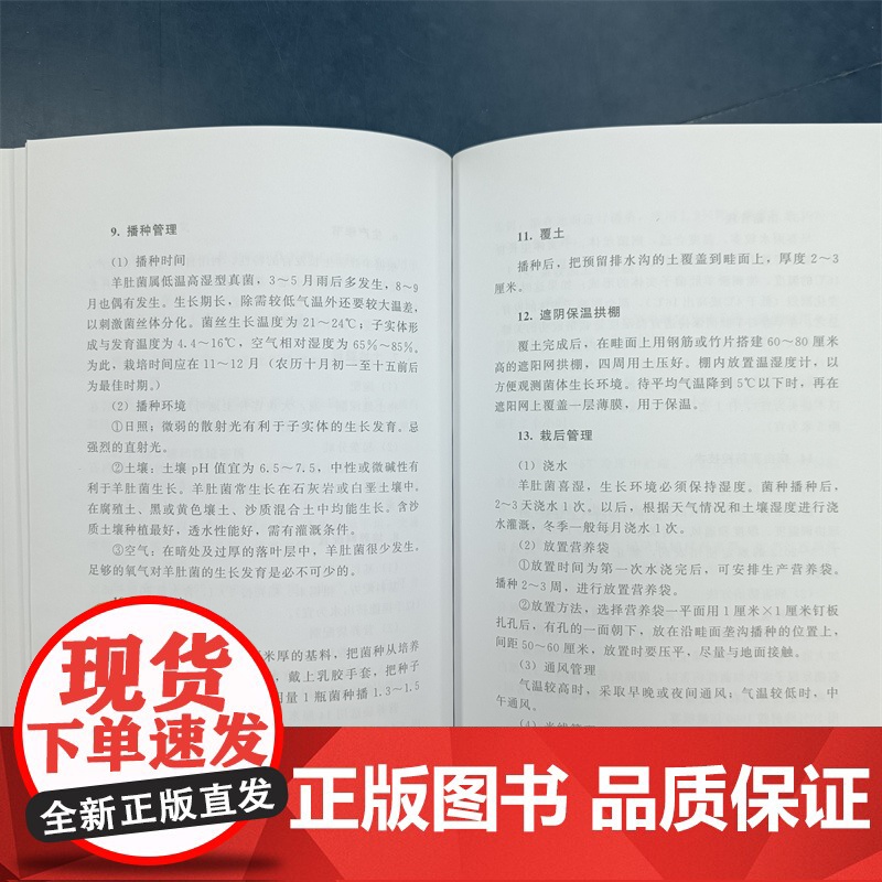 羊肚菌绿色高优栽培新技术 农业种植 菌类高清大图