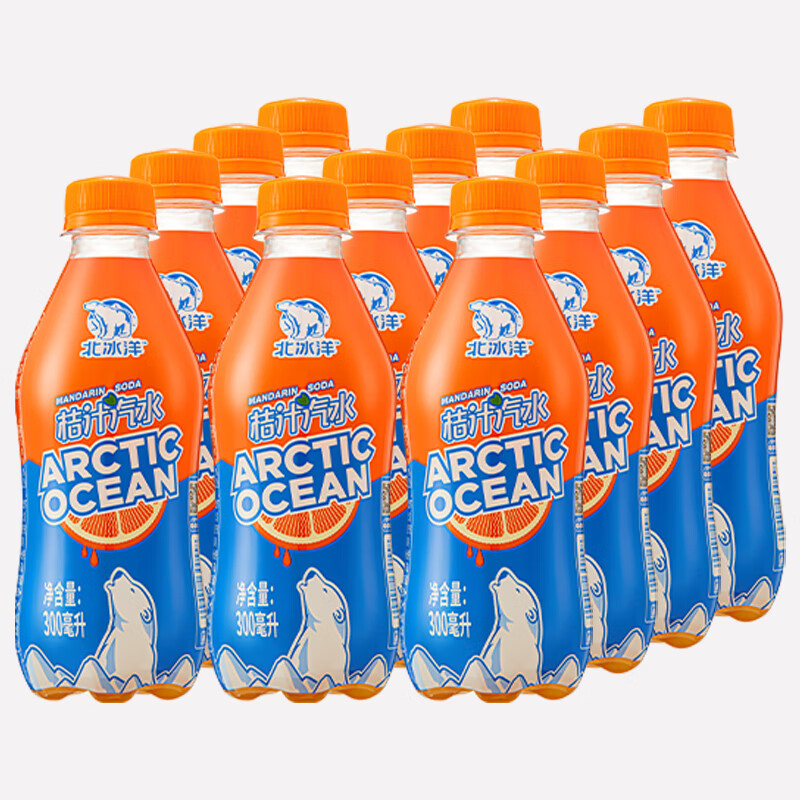 北冰洋 橘汁汽水 300ML*12瓶 PET