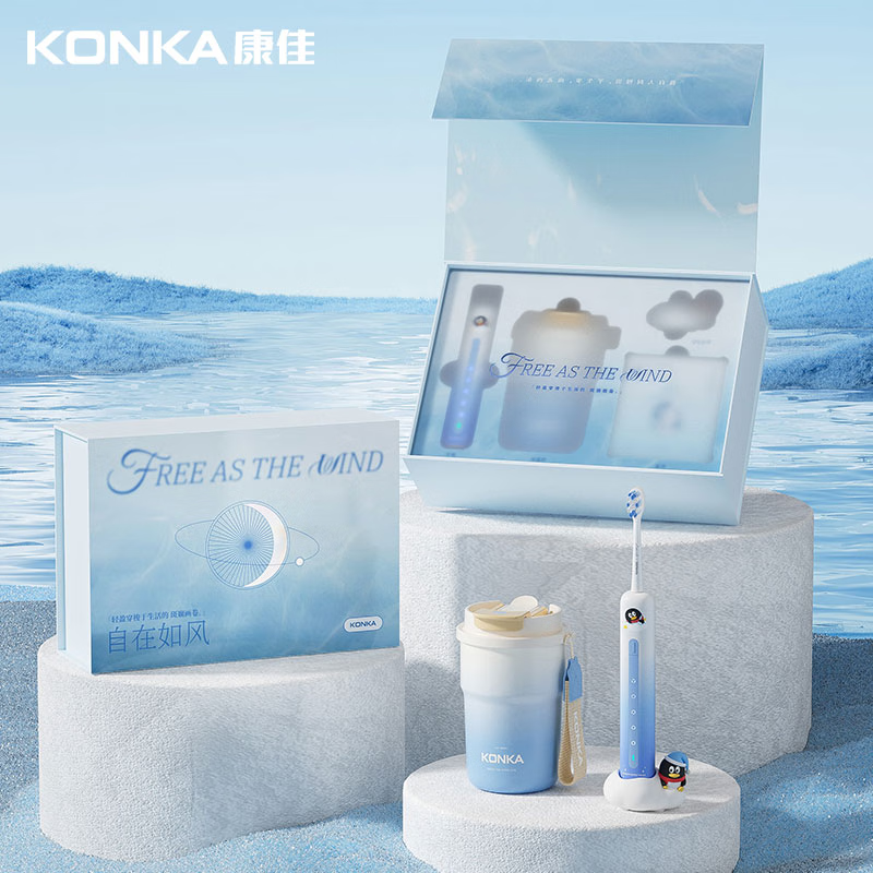 康佳(KONKA)自在如风礼盒KBY-0238T