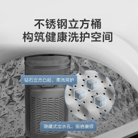 [官方直营]小天鹅(LittleSwan) 变频波轮洗衣机全自动免清洗直驱变频一键脱水除螨洗10公斤TB100V23DB