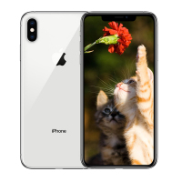 【全新正品行货】苹果(Apple) iPhone XS Max 64GB 银色 移动联通电信全网通4G手机 双卡双待 iphonexsmax