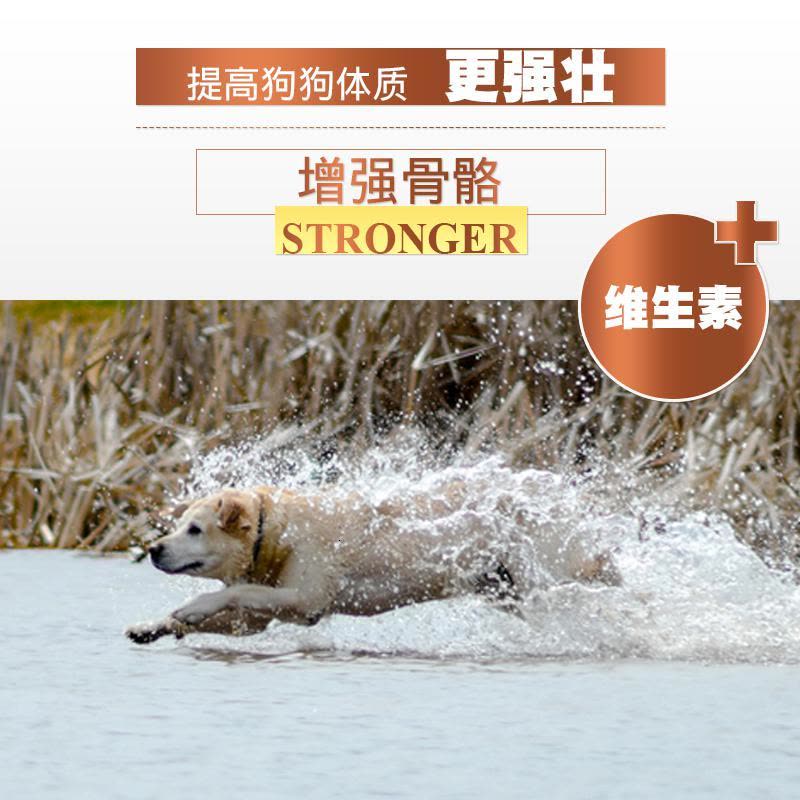 拉布拉多专用狗粮拉布拉多狗粮幼犬粮15kg图片