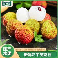 [苏鲜生] 广东妃子笑荔枝 新鲜水果 甜美多汁 净重2.5斤 单果18g左右