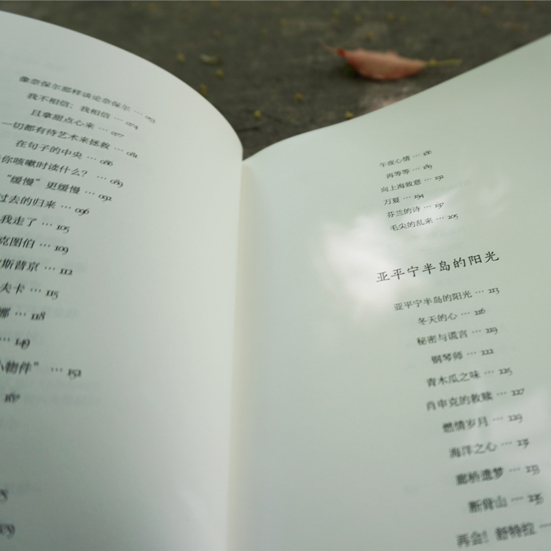 醉染图书我又听到了郊区的声音 诗与思9787576013450高清大图