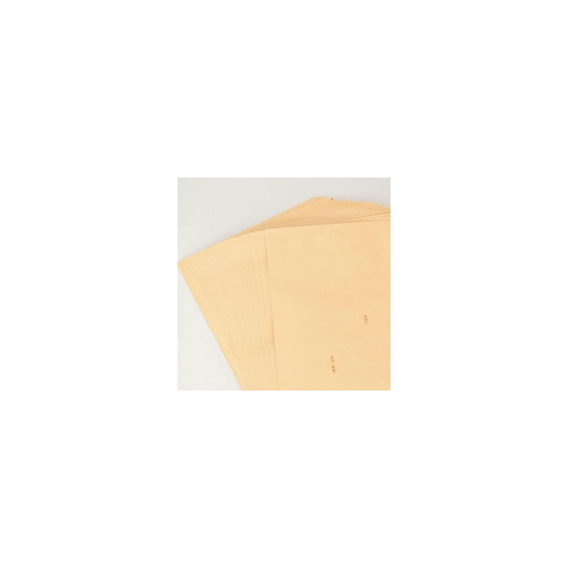 得力25201 9号牛皮纸工资袋信封票据收纳高清大图