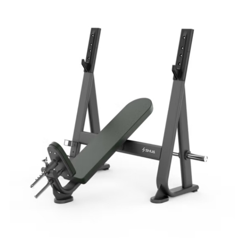 舒华上斜推举椅训练器材 上斜举重床(配套杠铃片30公斤含杆) SH-G6873