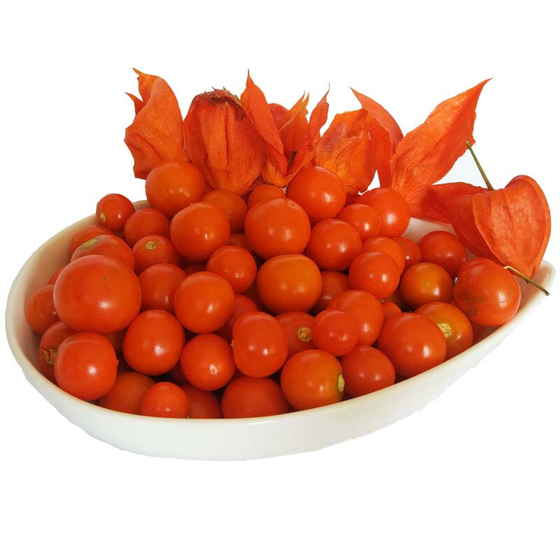 博多客 东北特产 红姑娘果 500g 红山姑娘苦姑娘皮 灯笼果 新鲜水果