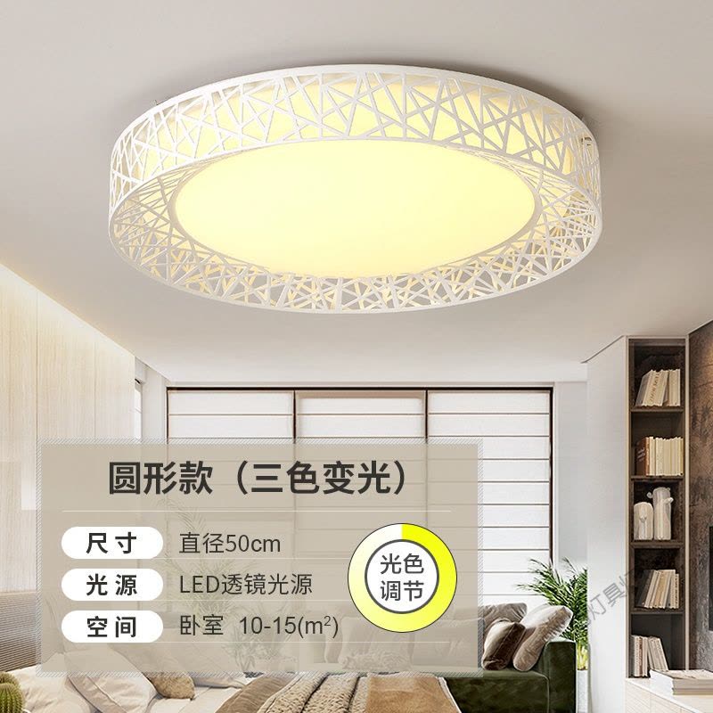 苏宁放心购 吸顶灯现代简约创意卧室灯温馨浪漫圆形小客厅灯大气鸟巢遥控灯具图片