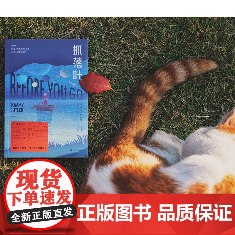 [小嘉]抓落叶 2024版 汤米·巴特勒著 外国科幻文学心理治愈小说 我们都是生命的旅人抵达终点就是人生的意义 正版书籍高清大图