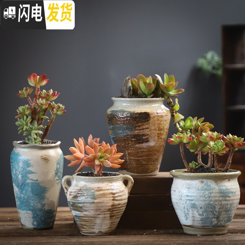 三维工匠多肉花盆大号老桩创意个性大口径粗陶透气陶瓷肉肉植物盆 SU本粗陶001组合5个 中等花盆容器