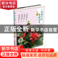 超简单创意无土种花草