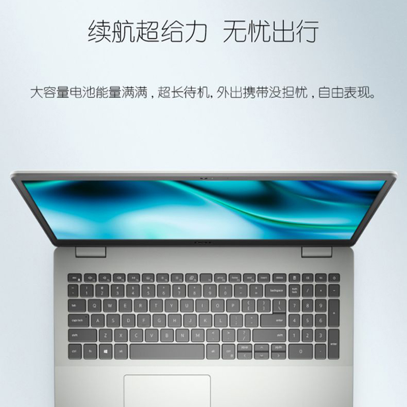 戴尔(DELL)灵越3505 轻薄便携学生网课商务办公笔记本电脑 15.6英寸高清屏 定制 (R5-3500U 4GB 256GB+1TB 集显)