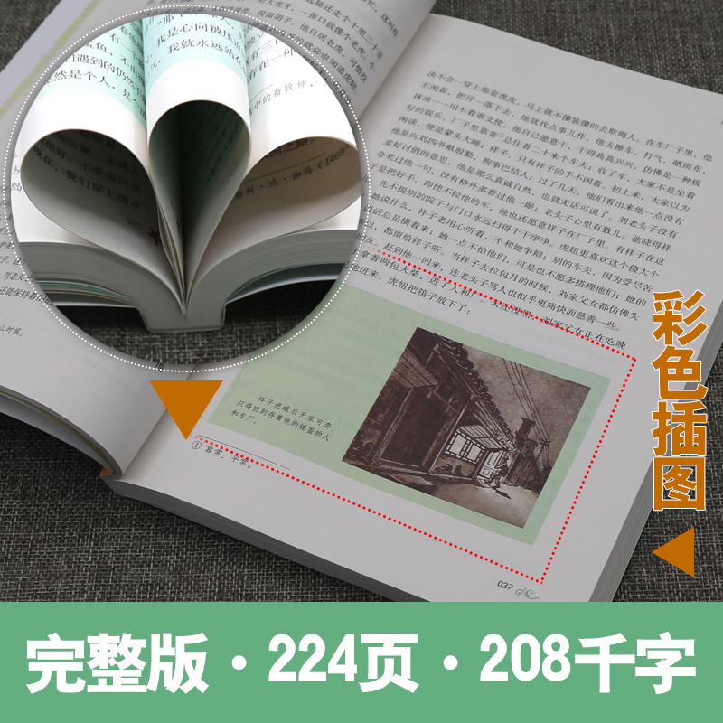 [醉染正版]人教版2册 骆驼祥子和海底两万里 正版书原著七年级下册必读名著老舍人民教育出版社初中生初一语文课外阅读文学书高清大图