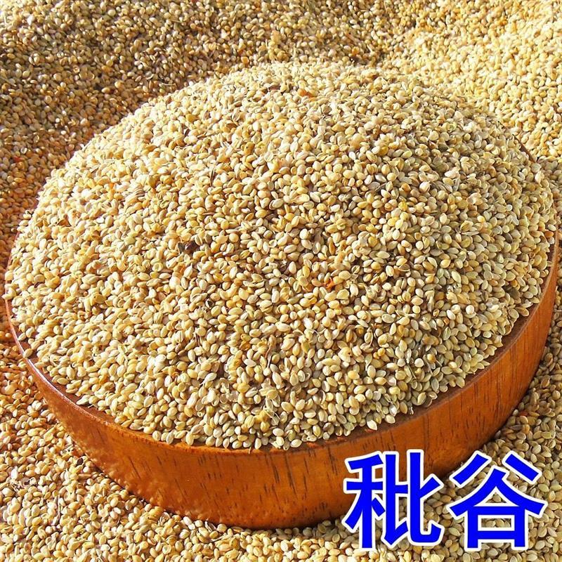 5斤秕谷谷壳糠壳谷糠秕谷子谷秕子黍子穄子荞麦壳皮枕头填充物