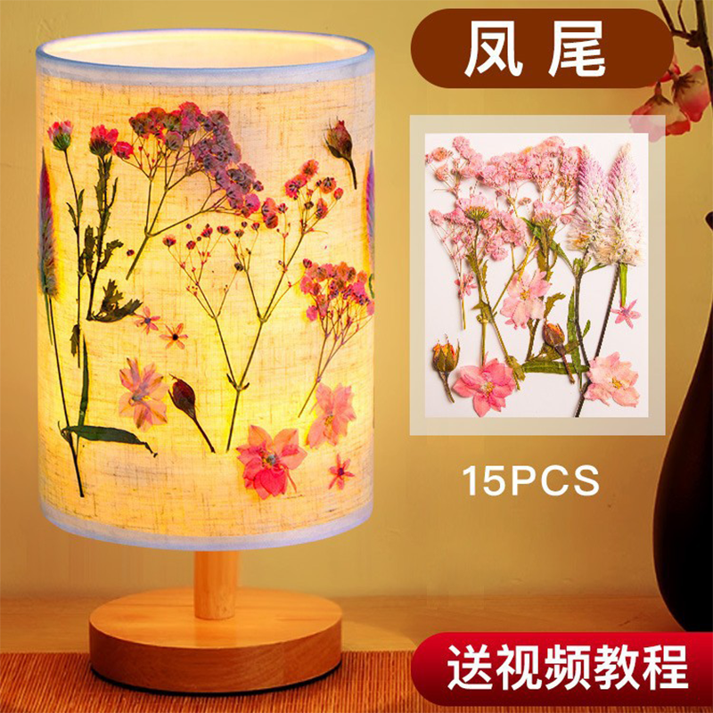 iChoice diy干花手工压花台灯创意植物花草氛围灯 母亲节生日活动礼 【豪华凤尾】压花灯+全套工具材料包