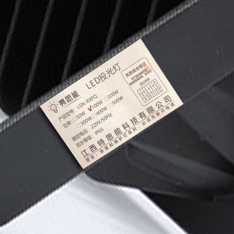 亮思能 LED投光灯 射灯 LSN-RXFQ 100W/个高清大图