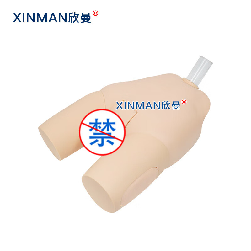 欣曼科教 女性膀胱穿刺操作训练模型 女性导尿模型XM-29N高清大图