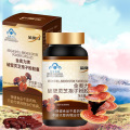 金奥力破壁灵芝孢子粉胶囊12版